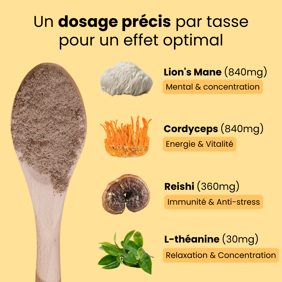 Focus et Énergie toute la journée